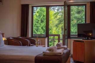 Отель Hotel Marami Синая Двухместный номер с 1 кроватью или 2 отдельными кроватями-6