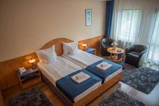 Отель Hotel Marami Синая Двухместный номер с 1 кроватью или 2 отдельными кроватями-12