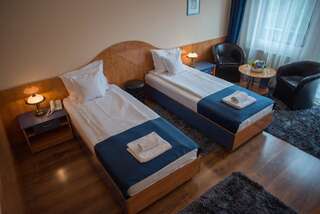 Отель Hotel Marami Синая Двухместный номер с 1 кроватью или 2 отдельными кроватями-33