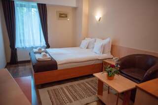 Отель Hotel Marami Синая Двухместный номер с 1 кроватью или 2 отдельными кроватями-41