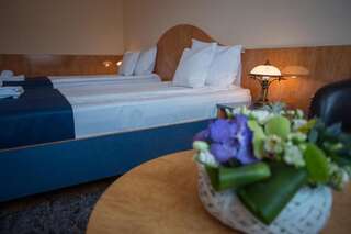 Отель Hotel Marami Синая Двухместный номер с 1 кроватью или 2 отдельными кроватями-60
